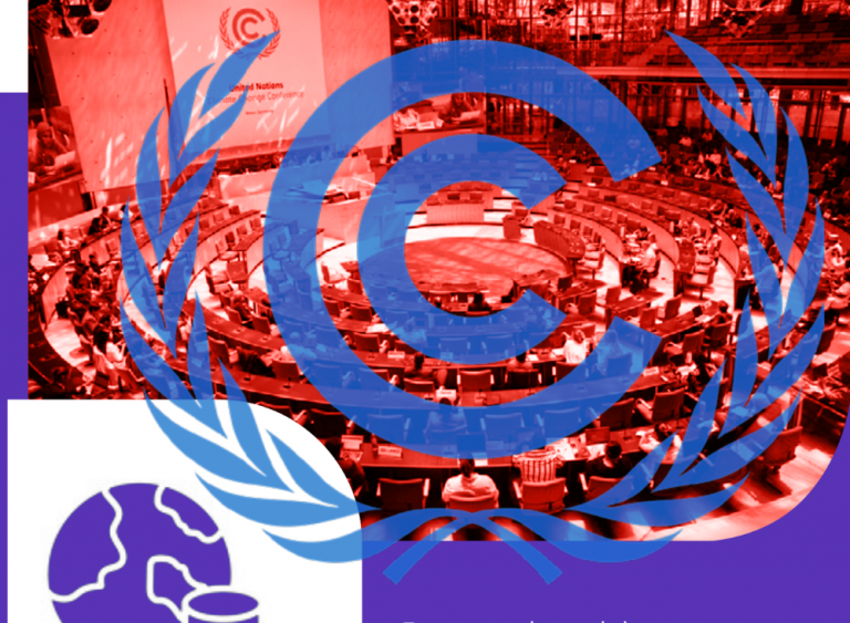RÉFLEXIONS SUR LA COP29 : L’ÉGALITÉ DE GENRE, LEVIER INDISPENSABLE DE LA JUSTICE CLIMATIQUE
